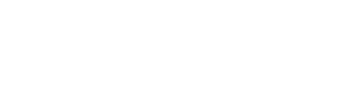 Sei Online Logo